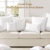 puredown 18x18 Pillow Inserts Set of 2, Fluffy Overfilled Down Alternative Decorative Pillows, Soft Plush Throw Pillows for Couch, Sofa